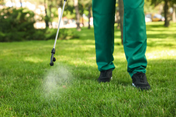 Best Termite Control Services  in Raton, NM