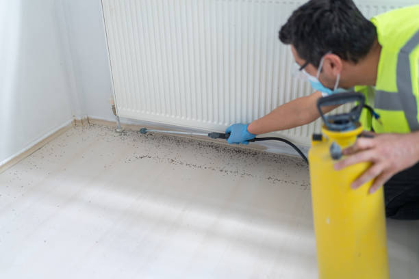 Reliable Raton, NM Pest Control Solutions