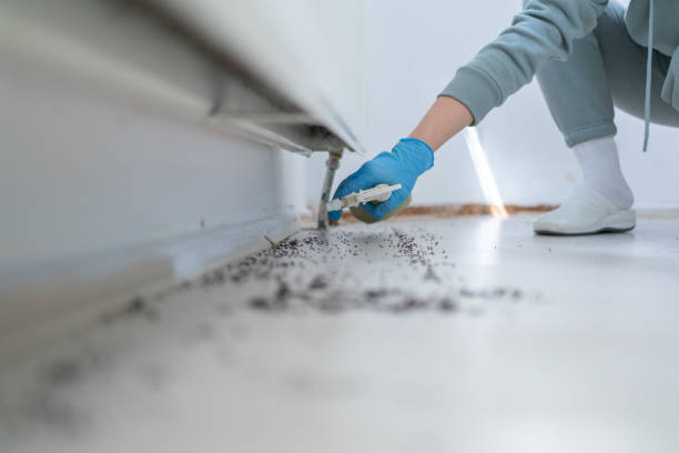 Best Pest Inspection Near Me  in Raton, NM